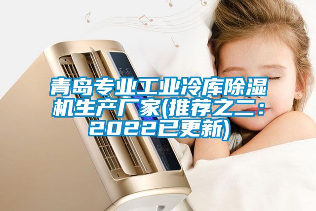 青島專業工業冷庫91看片在线下载機生產廠家(推薦之二：2022已更新)