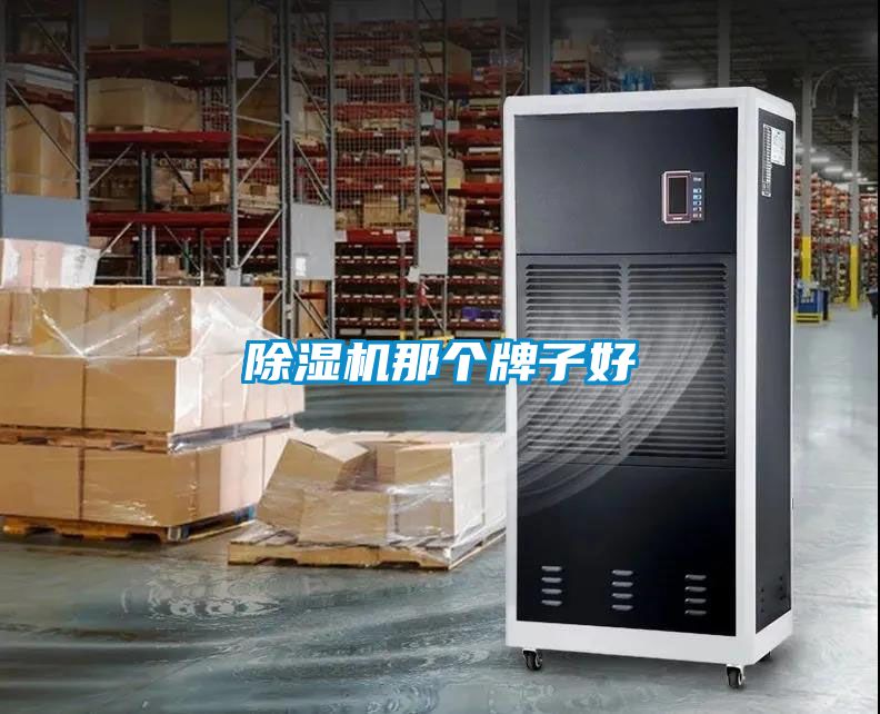 91看片在线下载機那個牌子好