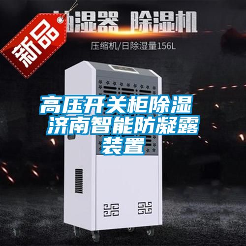 高壓開關櫃91看片在线下载 濟南智能防凝露裝置