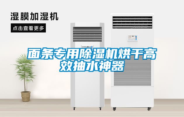 麵條專用91看片在线下载機烘幹高效抽水神器