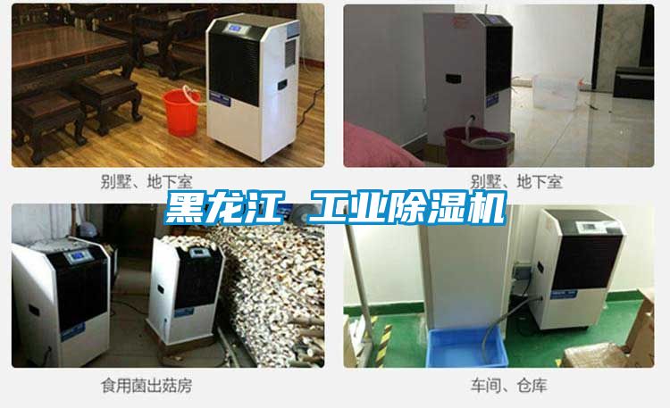 黑龍江 工業91看片在线下载機