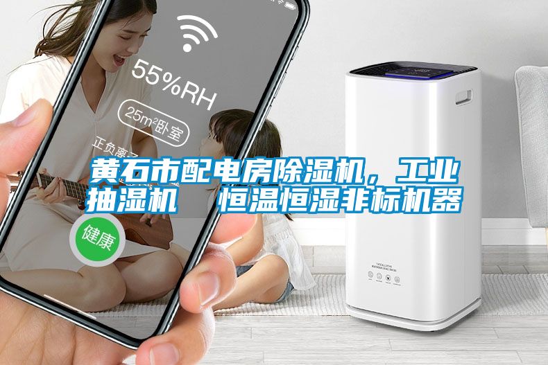 黃石市配電房91看片在线下载機，工業抽濕機  恒溫恒濕非標機器
