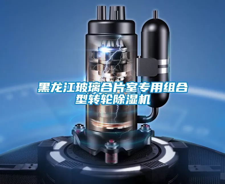 黑龍江玻璃合片室專用組合型轉輪91看片在线下载機