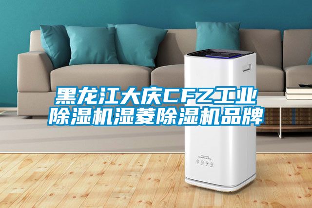 黑龍江大慶CFZ工業91看片在线下载機濕菱91看片在线下载機品牌