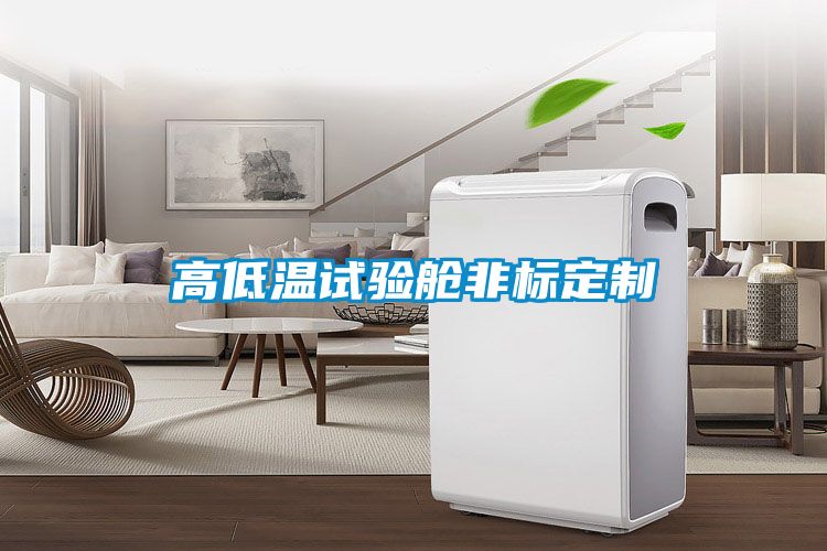 高低溫試驗艙非標定製