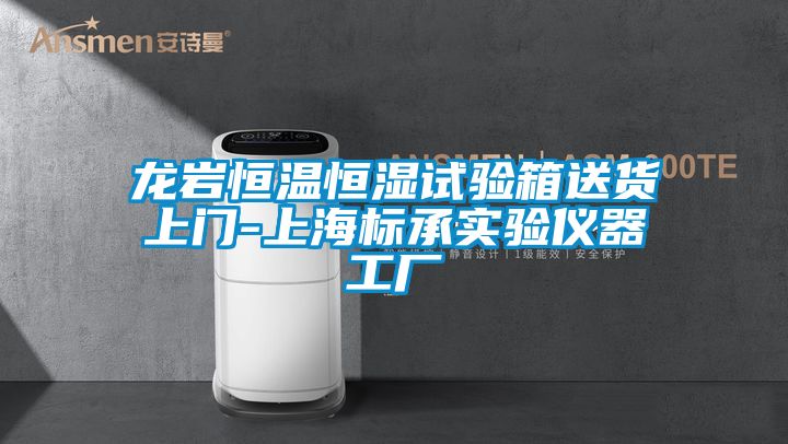 龍岩恒溫恒濕試驗箱送貨上門-上海標承實驗儀器工廠
