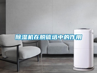 企業手机看片AV短片91看片在线下载機在脫硫塔中的作用