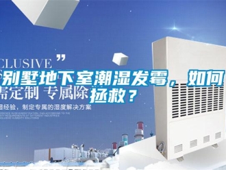 常見問題別墅地下室潮濕發黴，如何拯救？