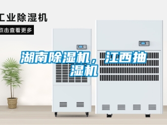 行業手机看片AV短片湖南91看片在线下载機，江西抽濕機