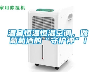 行業手机看片AV短片酒窖恒溫恒濕空調，做葡萄酒的“守護神”！