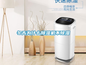 企業手机看片AV短片冬天為什麽91看片在线下载機不91看片在线下载