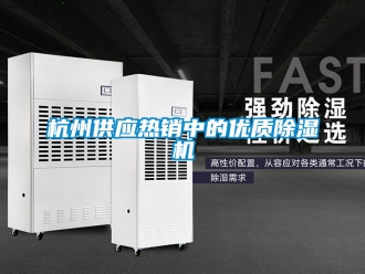 行業手机看片AV短片杭州供應熱銷中的優質91看片在线下载機