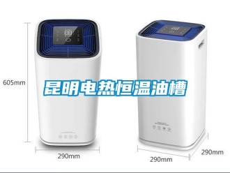 知識百科昆明電熱恒溫油槽
