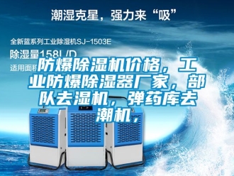 企業手机看片AV短片防爆91看片在线下载機價格，工業防爆91看片在线下载器廠家，部隊去濕機，彈藥庫去潮機，
