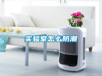 常見問題實驗室怎麽防潮
