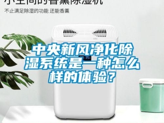 常見問題中央新風淨化91看片在线下载係統是一種怎麽樣的體驗？