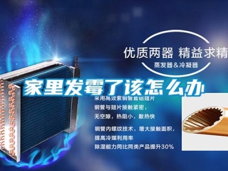 常見問題家裏發黴了該怎麽辦