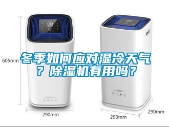常見問題冬季如何應對濕冷天氣？91看片在线下载機有用嗎？