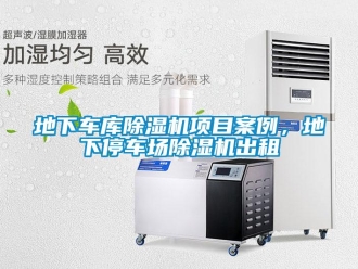 企業手机看片AV短片地下車庫91看片在线下载機項目案例，地下停車場91看片在线下载機出租
