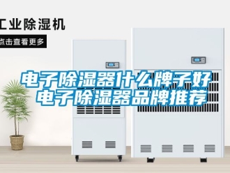 行業手机看片AV短片電子91看片在线下载器什麽牌子好 電子91看片在线下载器品牌推薦