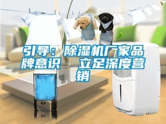 知識百科引導：91看片在线下载機廠家品牌意識  立足深度營銷