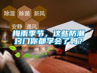 常見問題梅雨季節，這些防潮竅門你都學會了嗎？