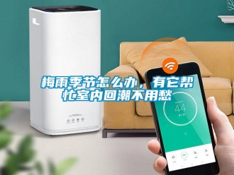 常見問題梅雨季節怎麽辦，有它幫忙室內回潮不用愁