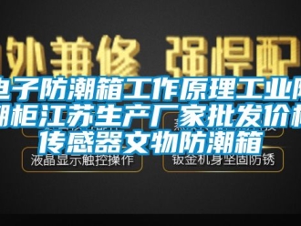常見問題電子防潮箱工作原理工業防潮櫃江蘇生產廠家批發價格傳感器文物防潮箱
