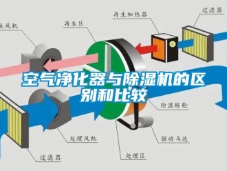行業手机看片AV短片空氣淨化器與91看片在线下载機的區別和比較