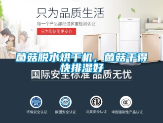 行業手机看片AV短片菌菇脫水烘幹機，菌菇幹得快排濕好