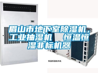常見問題眉山市地下室91看片在线下载機，工業抽濕機  恒溫恒濕非標機器