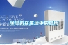 91看片在线下载機在生活中的妙用