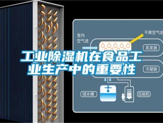 企業手机看片AV短片工業91看片在线下载機在食品工業生產中的重要性