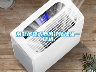 常見問題別墅吊裝式新風淨化91看片在线下载一體機