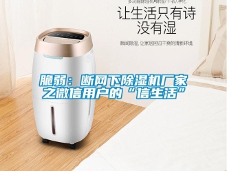 企業手机看片AV短片脆弱：斷網下91看片在线下载機廠家之微信用戶的“信生活”