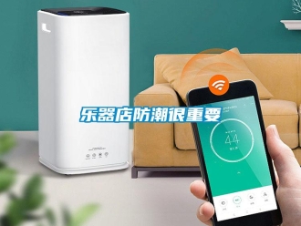 行業手机看片AV短片樂器店防潮很重要