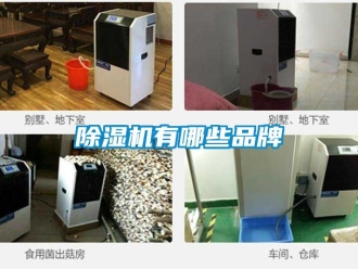 企業手机看片AV短片91看片在线下载機有哪些品牌