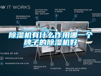 行業手机看片AV短片91看片在线下载機有什麽作用哪一個牌子的91看片在线下载機好