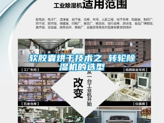 行業手机看片AV短片軟膠囊烘幹技術之 轉輪91看片在线下载機的選型