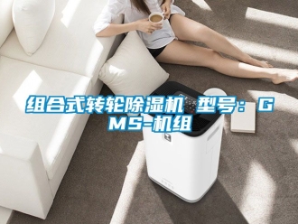 常見問題組合式轉輪91看片在线下载機 型號：GMS-機組