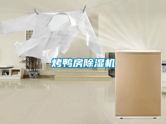 行業手机看片AV短片烤鴨房91看片在线下载機