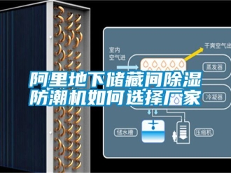 企業手机看片AV短片阿裏地下儲藏間91看片在线下载防潮機如何選擇廠家