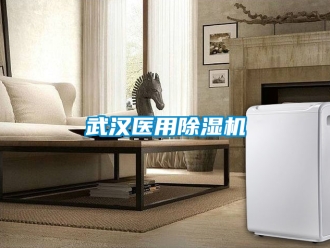 行業手机看片AV短片武漢醫用91看片在线下载機