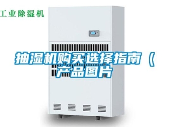 企業手机看片AV短片抽濕機購買選擇指南（產品圖片