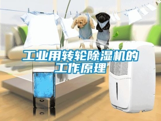 企業手机看片AV短片工業用轉輪91看片在线下载機的工作原理