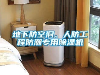 企業手机看片AV短片地下防空洞、人防工程防潮專用91看片在线下载機