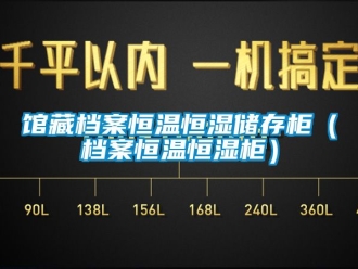 知識百科館藏檔案恒溫恒濕儲存櫃（檔案恒溫恒濕櫃）