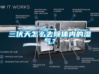 常見問題三伏天怎麽去除體內的濕氣？