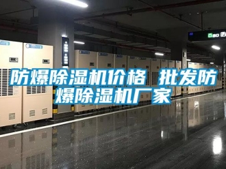 企業手机看片AV短片防爆91看片在线下载機價格 批發防爆91看片在线下载機廠家