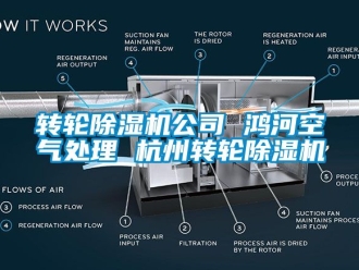 常見問題轉輪91看片在线下载機公司 鴻河空氣處理 杭州轉輪91看片在线下载機